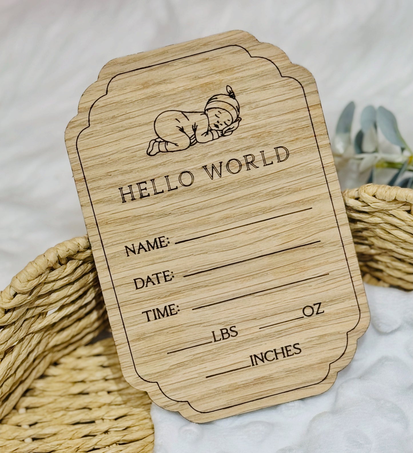 Hello World Birth Announcement.