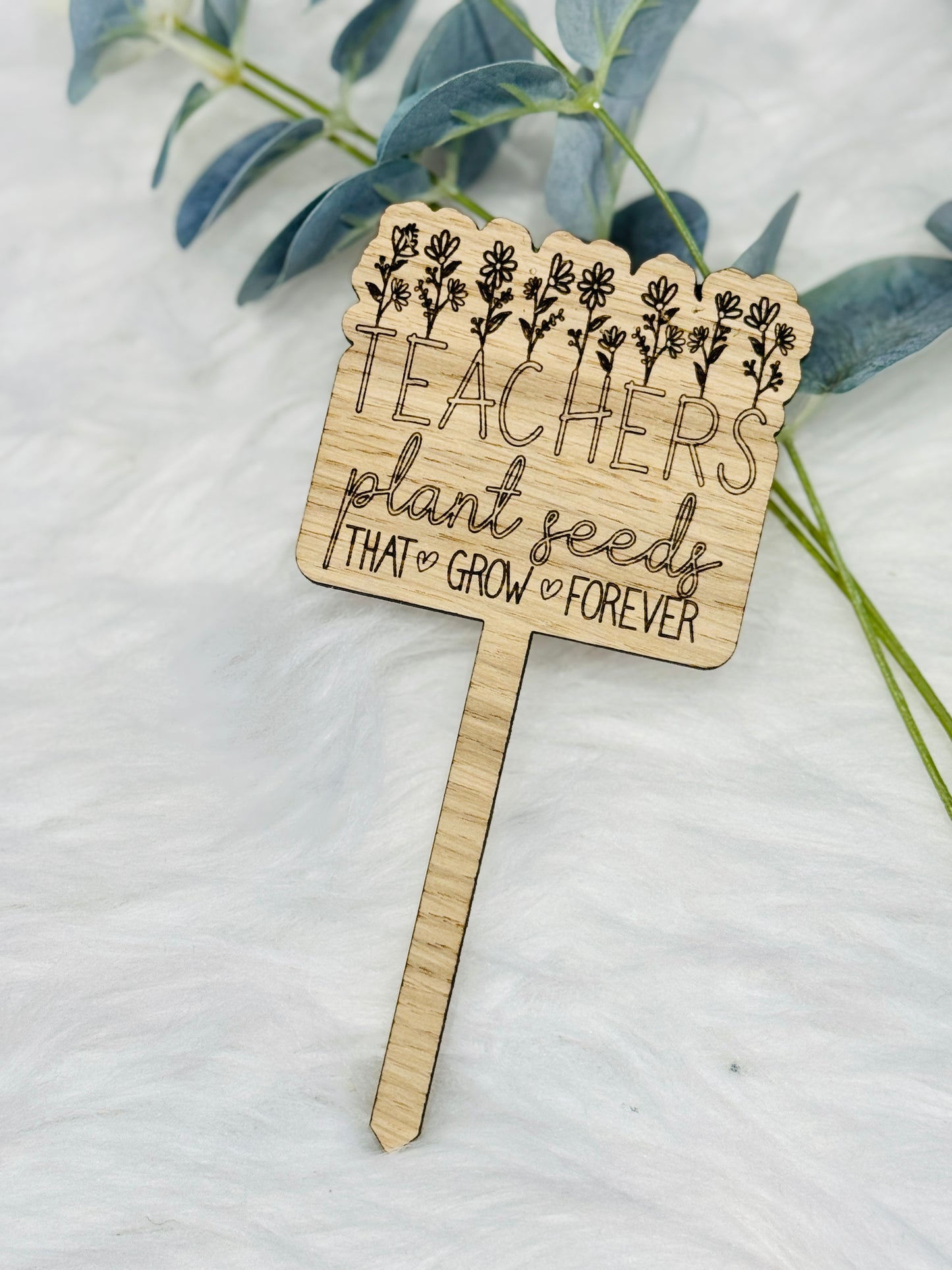 Teacher plant marker / stake