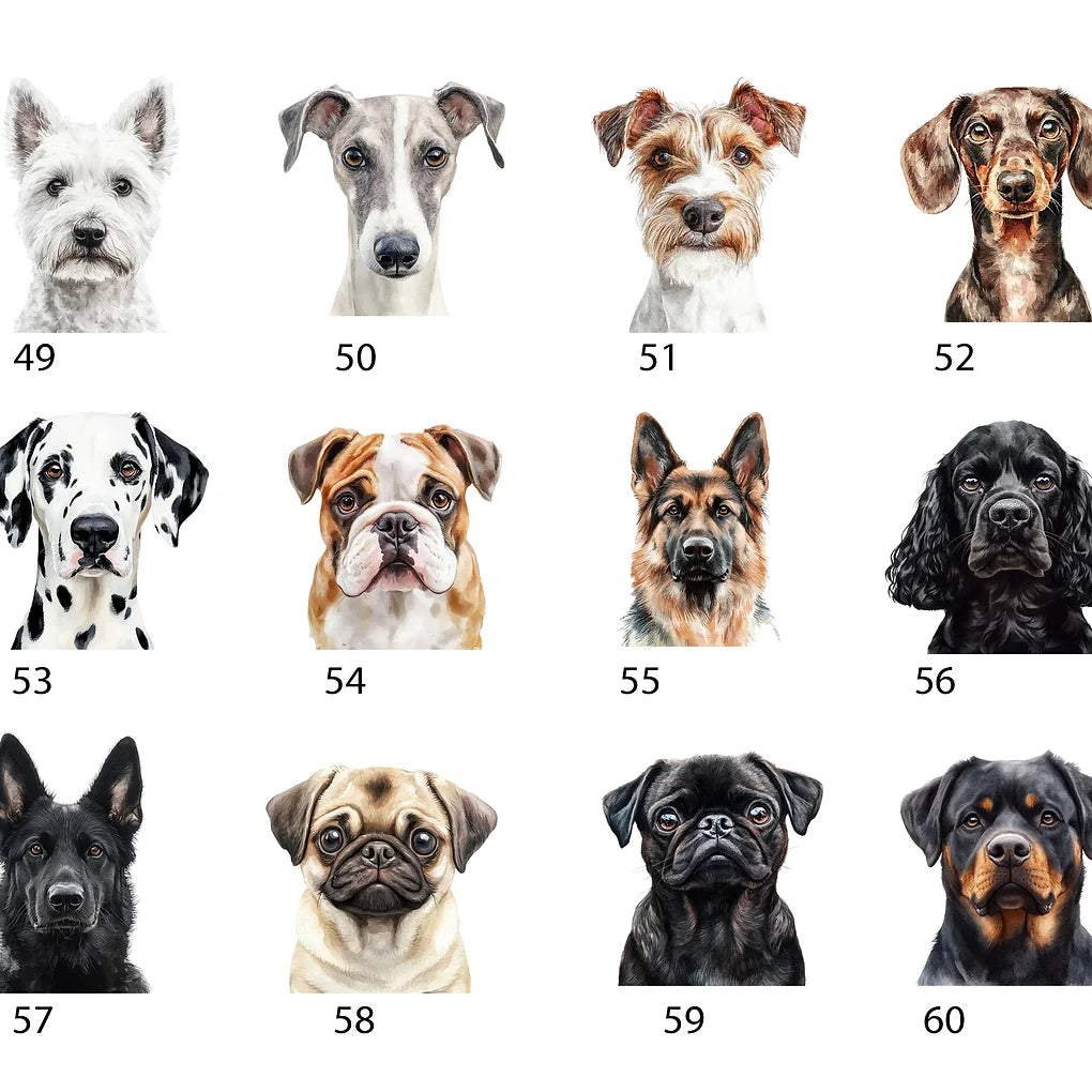 Personalised portable enamel dog travel bowl with lid