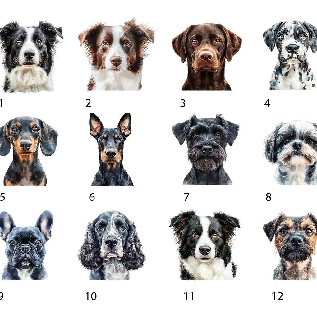 Personalised Dog bowl