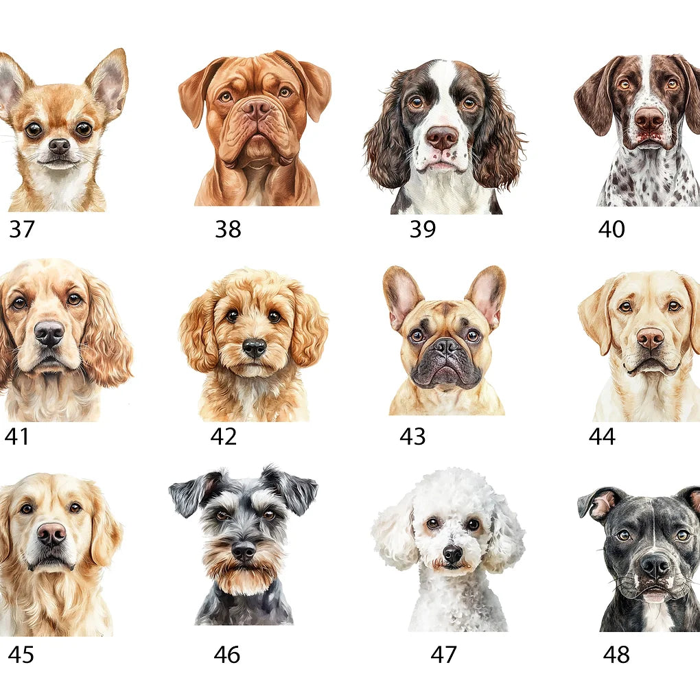 Personalised portable enamel dog travel bowl with lid