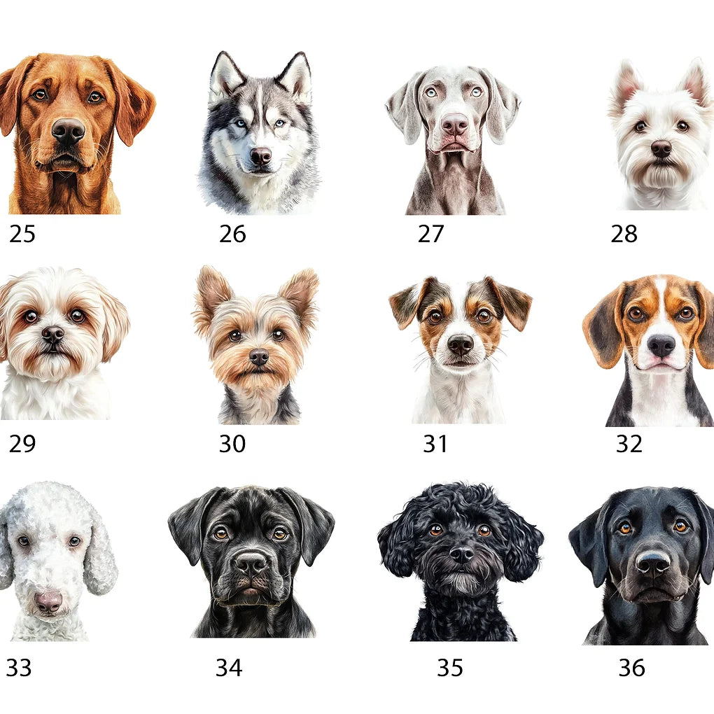 Personalised portable enamel dog travel bowl with lid