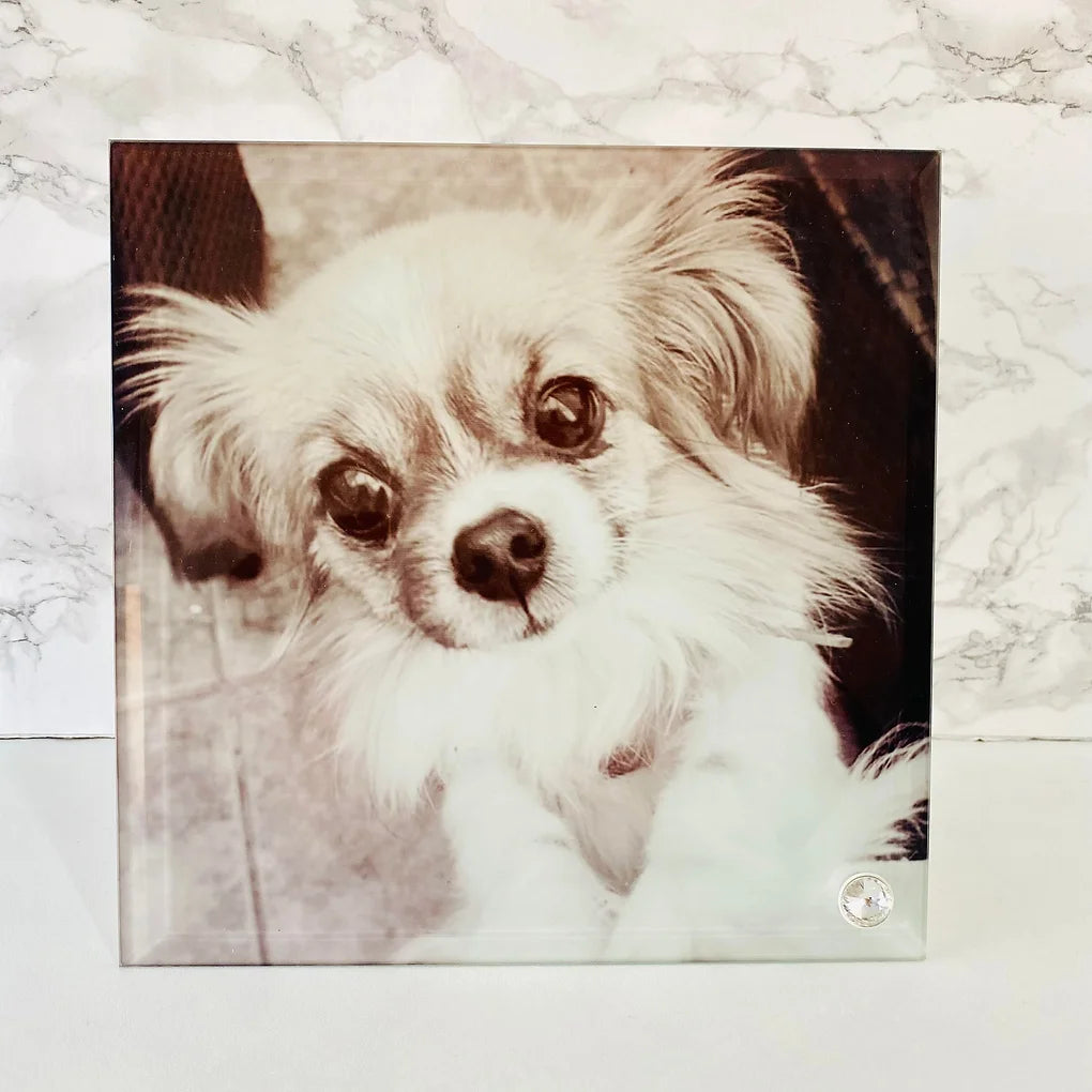 Personalised Glass Photo Frame  - 20cm x 20cm