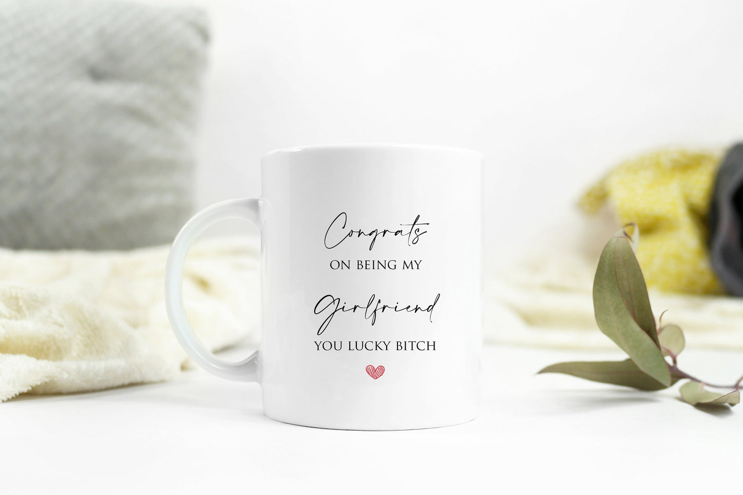 Congrats on being my girlfriend you lucky b**ch. Funny mug - Valentines - anniversary - novelty mug. 11oz